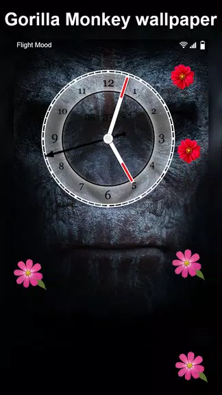 Gorilla Monkey Live Wallpaper Screenshot4