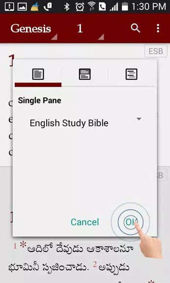 Study Bibles (Multiple Languag Screenshot2