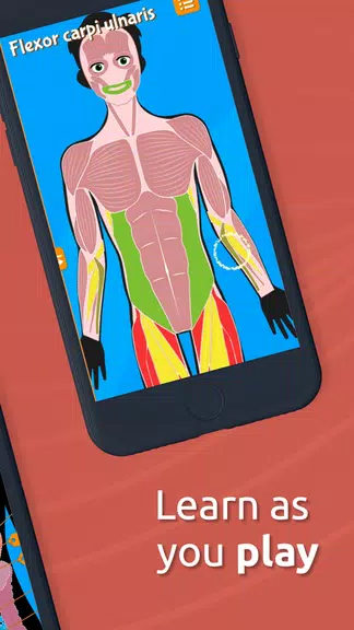 Human Anatomy - Body parts Screenshot3