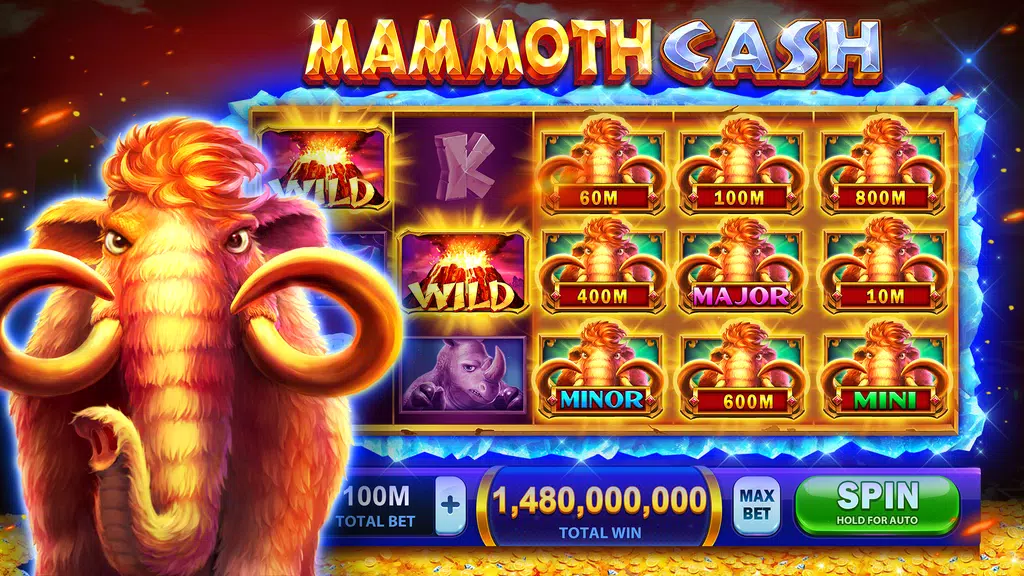 Cash Boost Slots : Vegas Casin Screenshot3