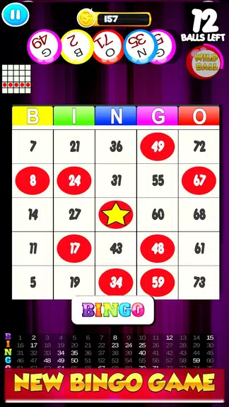 Free Bingo New Cards Game - Vegas Casino Feel Screenshot1