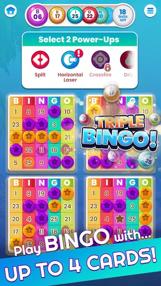 Bingo: Fun Bingo Casino Games Screenshot1