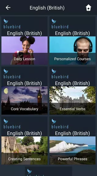 Learn British English. Speak B Screenshot1