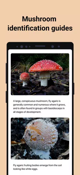 Picture Mushroom - Mushroom ID Screenshot4