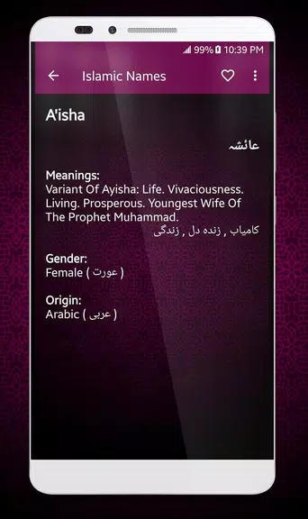 Islamic Names Dictionary Screenshot3