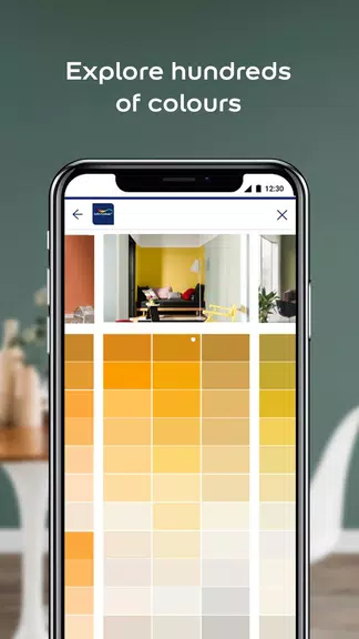 Dulux Visualizer PK Screenshot2