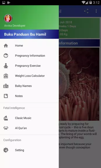 Pregnancy Guide Screenshot2