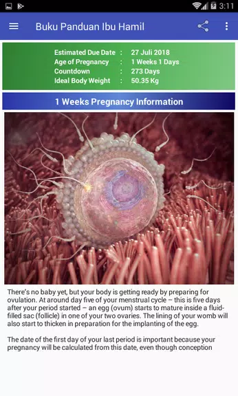 Pregnancy Guide Screenshot1