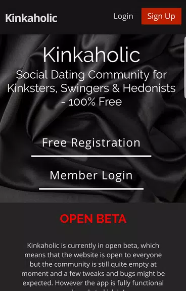 Kinkaholic Screenshot1