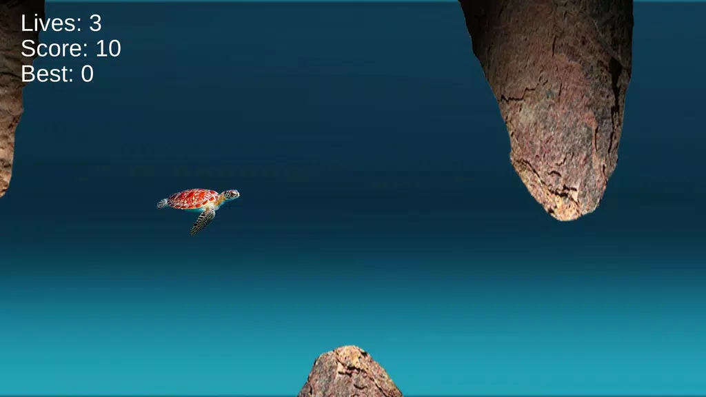 Turtle Run: Ocean Adventure Screenshot3