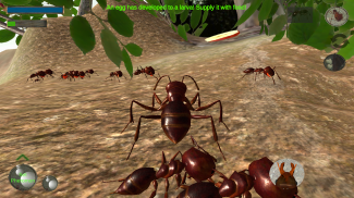 Ant Simulation 3D Screenshot3