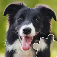 Dogs & Cats Puzzles for kids APK