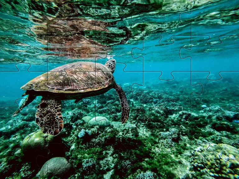 Underwater jigsaw puzzles game Screenshot4