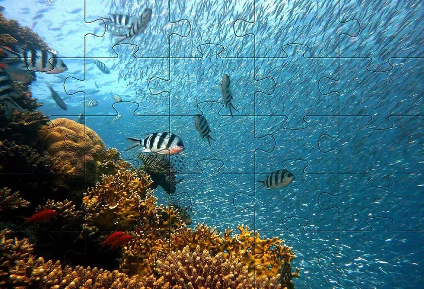 Underwater jigsaw puzzles game Screenshot2