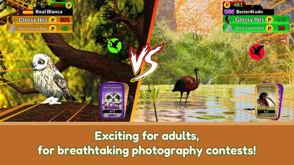 The Birders Screenshot4