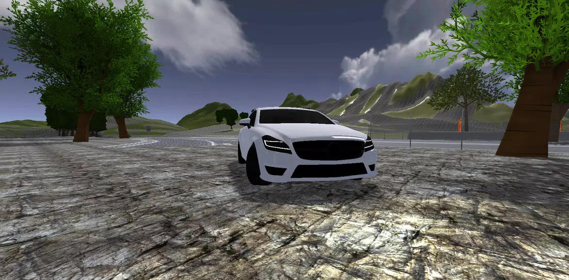 Mercedes Driving Simulator Screenshot1