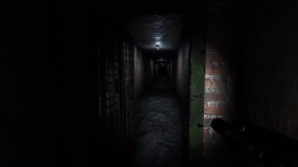 Descent: Dark Corridors Horror Screenshot2