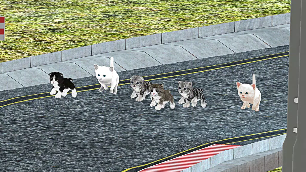 Cute Cat Racing World Cup Screenshot1