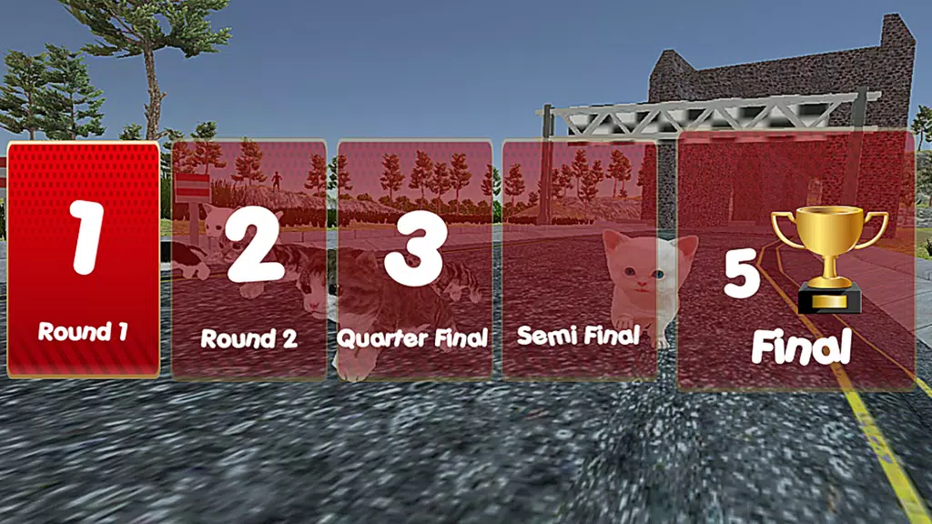 Cute Cat Racing World Cup Screenshot3