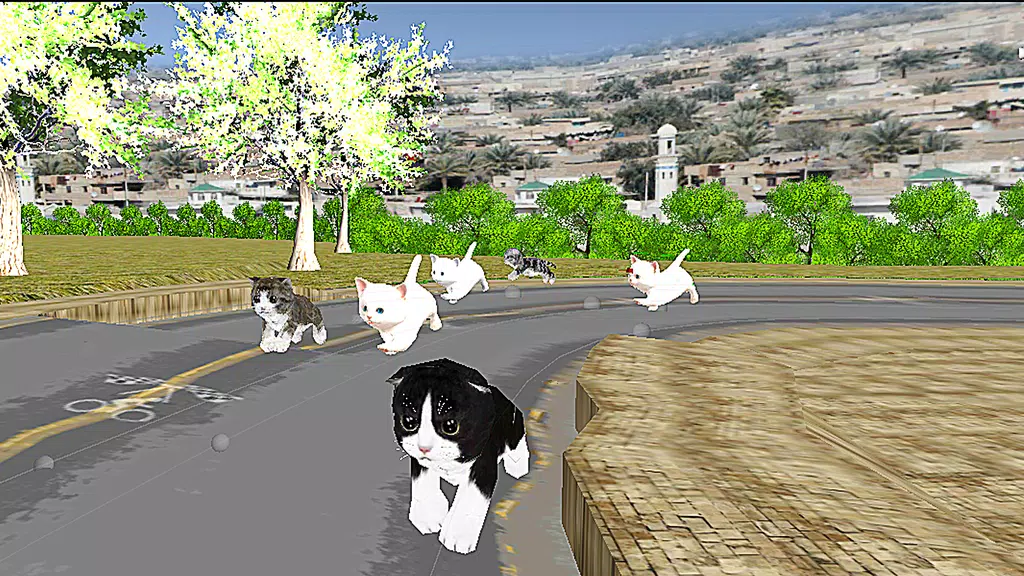 Cute Cat Racing World Cup Screenshot2