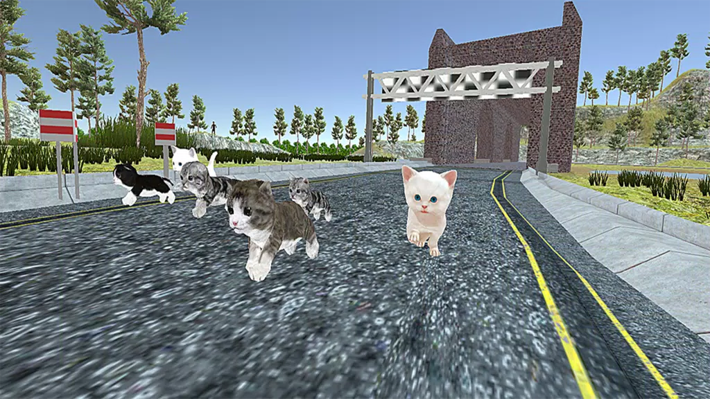 Cute Cat Racing World Cup Screenshot4