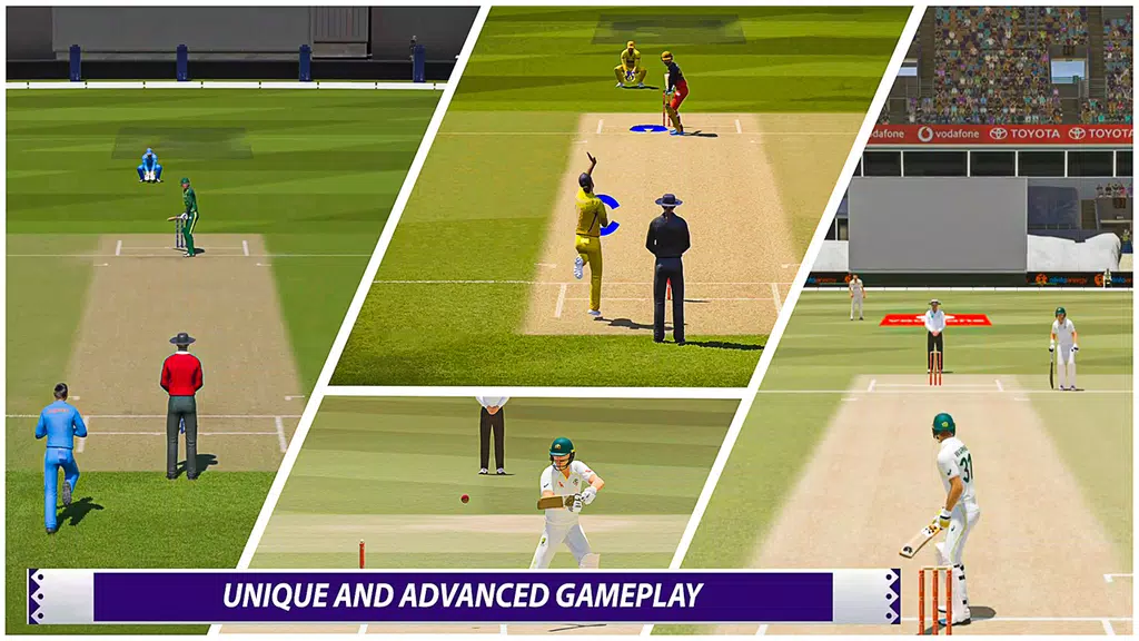 Cricket Games Real World Match Screenshot2