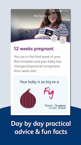 Bounty - Pregnancy & Baby App Screenshot3