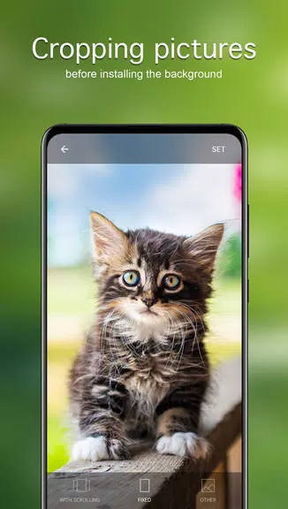 Cat Wallpapers & Cute Kittens Screenshot4