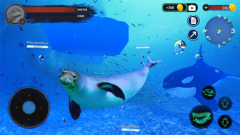 The Seal Screenshot1