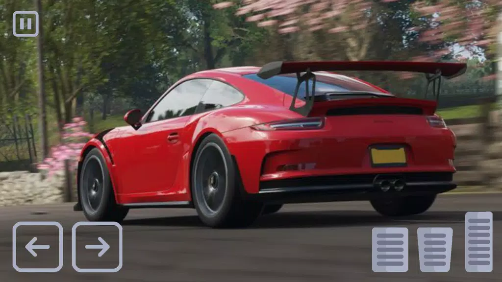 Racing Porsche Carrera 911 GT3 Screenshot4