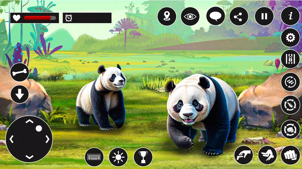 Panda Game: Animal Games Screenshot3