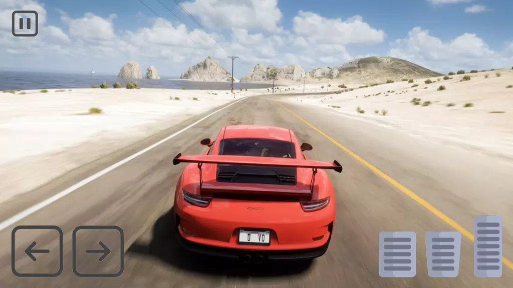 Racing Porsche Carrera 911 GT3 Screenshot2