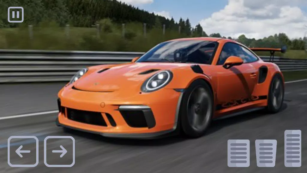 Racing Porsche Carrera 911 GT3 Screenshot1