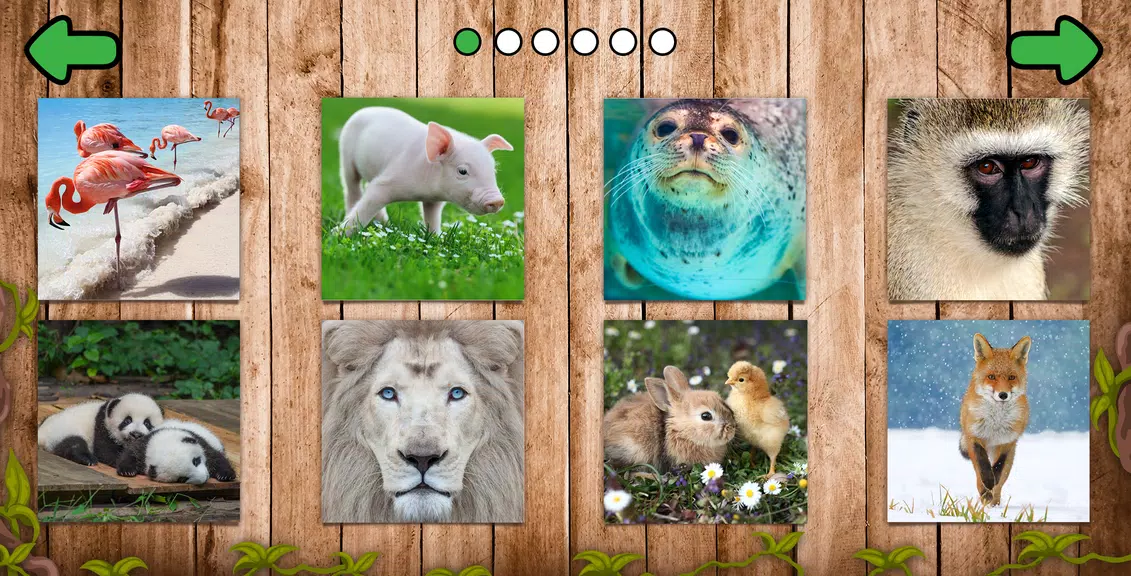 Animal puzzle games offline Screenshot2