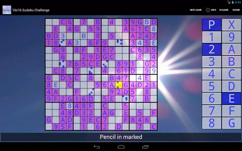 16x16 Sudoku Challenge HD Screenshot3