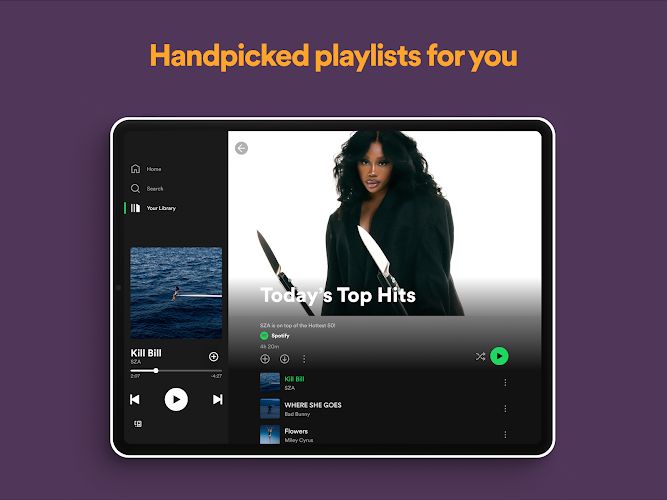 Spotify Premium Screenshot17