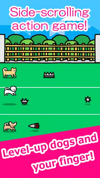 Play with Dogs - relaxing game Screenshot3