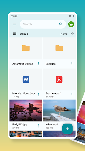 pCloud: Cloud Storage Screenshot1