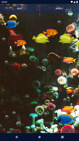 Aquarium Fish Live Wallpaper Screenshot4