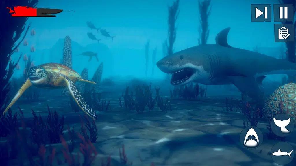 Real Survival Angry Shark Game Screenshot4