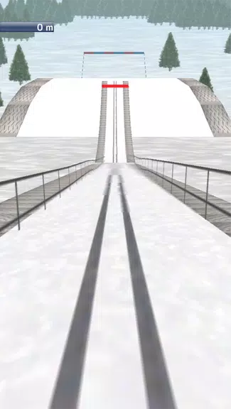 Ski Jump 3D Screenshot1