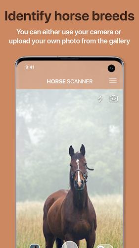 Horse Scanner Screenshot1