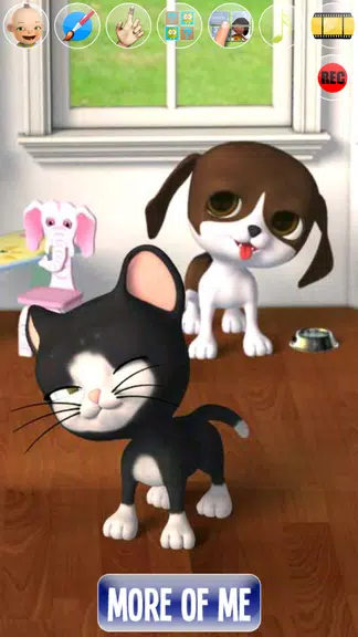 Talking Stars Cat & Dog & Pets Screenshot4