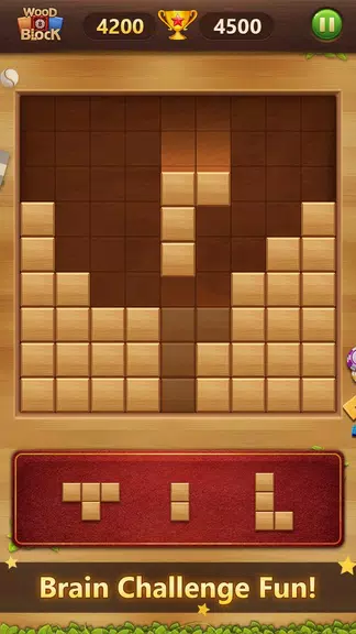 Wood Block Puzzle Classic Screenshot3