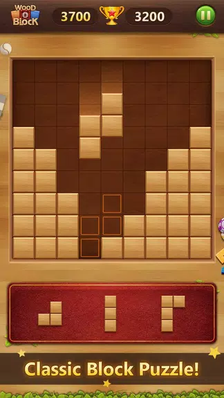 Wood Block Puzzle Classic Screenshot2