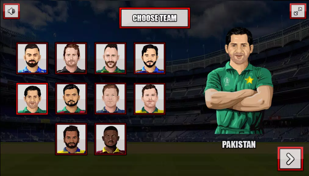 ICC T20 Cricket World Cup game Screenshot3