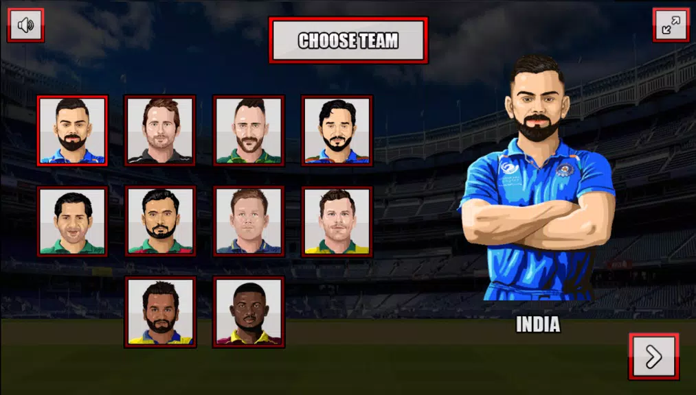 ICC T20 Cricket World Cup game Screenshot2