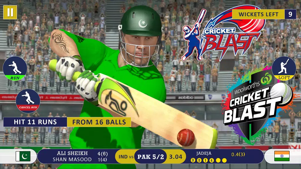 World Cricket : Cricket Games Screenshot2