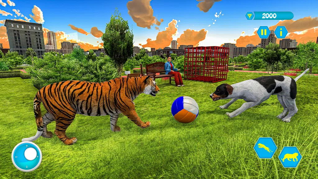 Family Pet Tiger Adventure Screenshot1