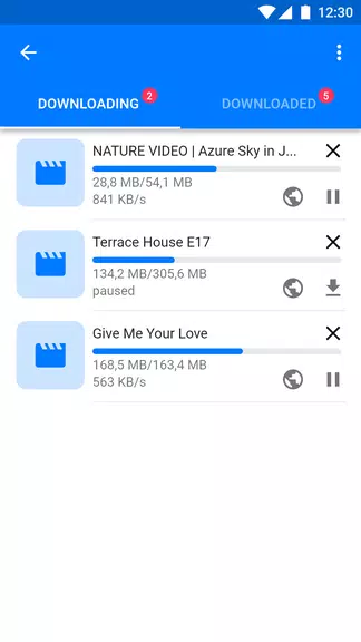 Master Video Downloader Screenshot1